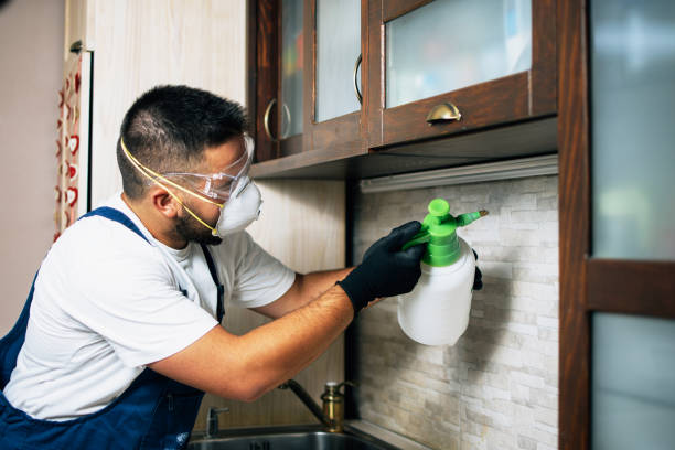 Best Pest Control for Homes  in Sugar City, ID