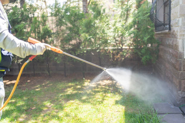 Best Insect Control  in Sugar City, ID