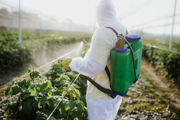 Best Mosquito Control Services  in Sugar City, ID